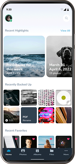 Layar backup otomatis Capsyl
